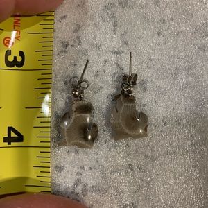Petosky stone earrings